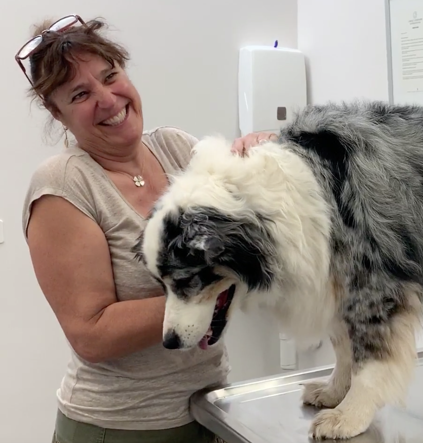  Geneva Animal Hospital, Animal Hospital Geneva,Cabinet Vétérinaire International, Geneva Veterinarian, veterinarian Geneva, Thila with owner