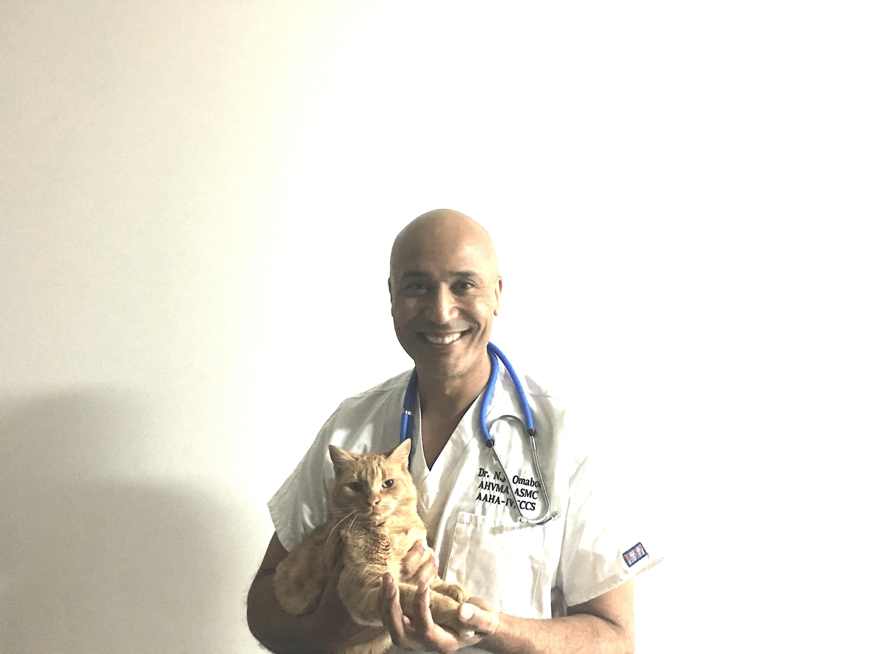 Geneva Animal Hospital, Animal Hospital Geneva, Cabinet Vétérinaire International,Geneva Veterinarian, veterinarian Geneva