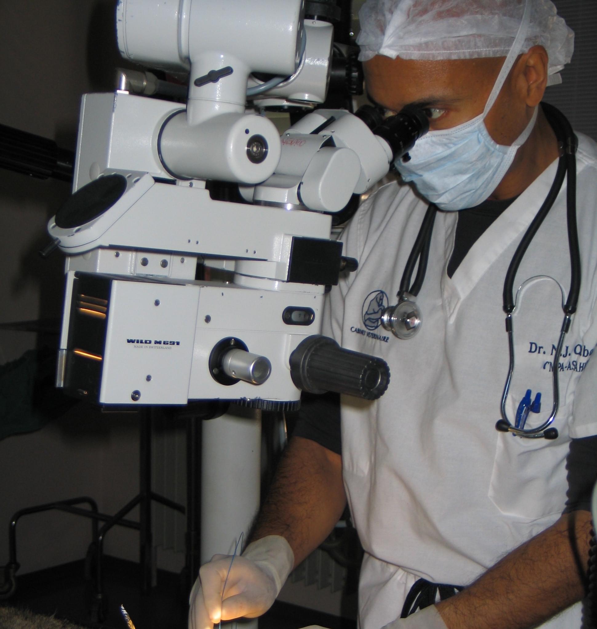 Geneva Animal Hospital, Animal Hospital Geneva, Cabinet Vétérinaire International,  Cabinet Vétérinaire International, Dr. Omaboe, Geneva Veterinarian, veterinarian Geneva, Dr Omaboe Surgery